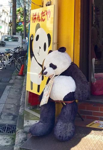 横浜中華街でパンダを探せ ７ お土産のパンダのお菓子は やっぱり見た目もパンダでしょ パンダの館へようこそ